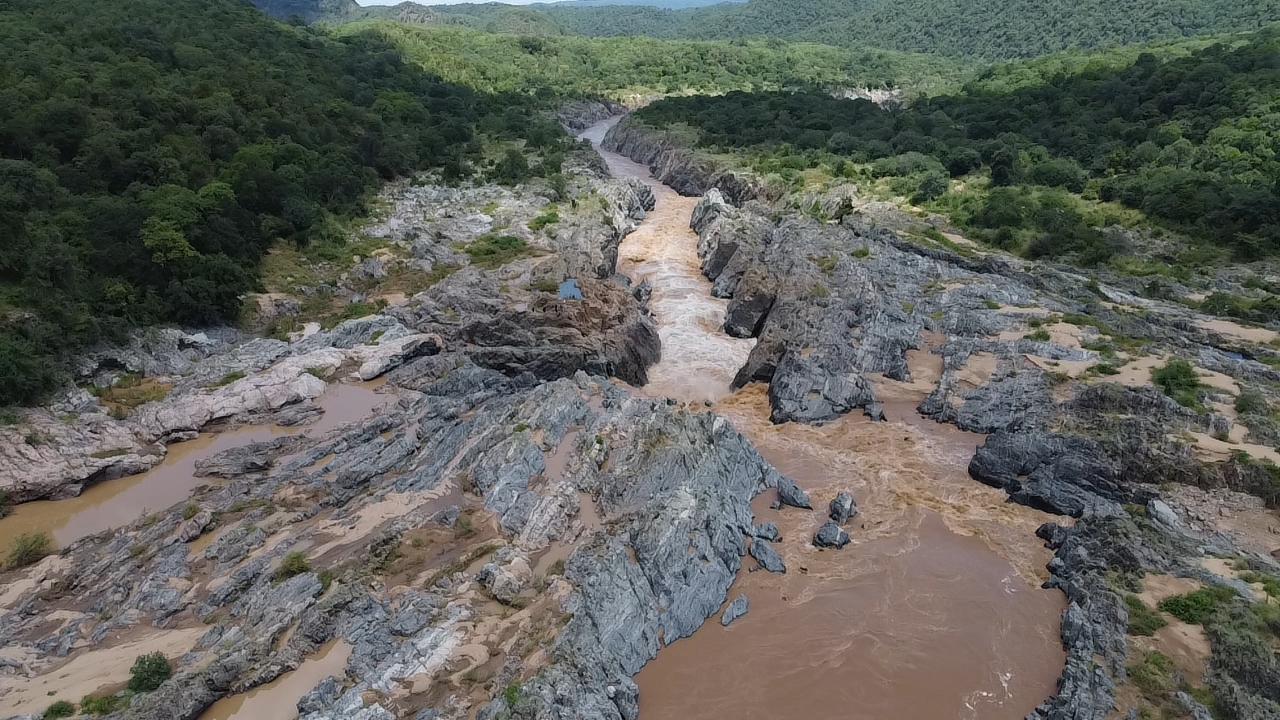 dji_fly_20250304_113502_0_1741080902147_photo_low_quality